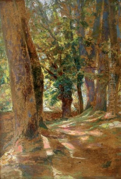 Sous-bois Souvenir Oil Painting by Victor Charreton