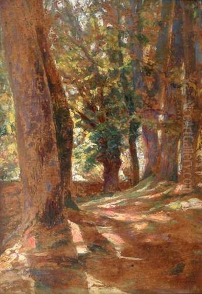 Le Sous Bois Oil Painting by Victor Charreton