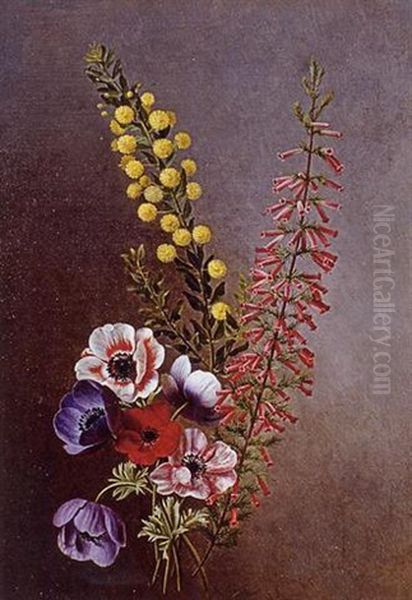 A Study Of Anemones, Veronica And Other Flowers Oil Painting by Antoine Chazal