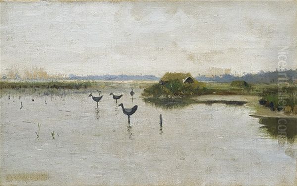 Duck Decoys On A Lake Oil Painting by Josef Chelmonski