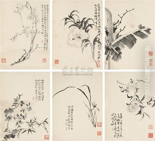 Flowers (6 Works) Oil Painting by  Chen Zhuan