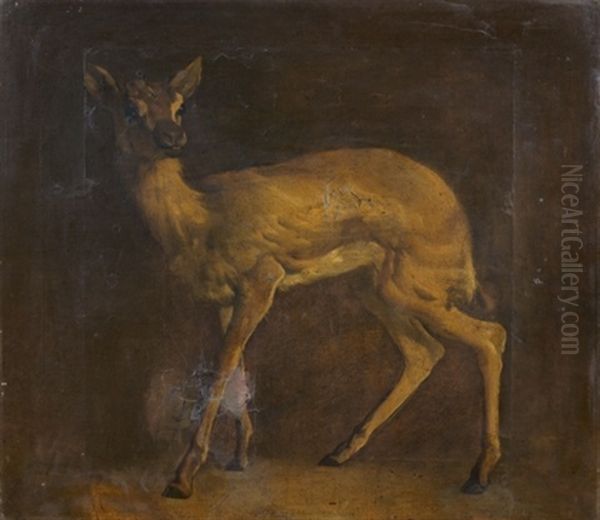 Etude De Biche Oil Painting by Augustin Pierre Bienvenue Chenu