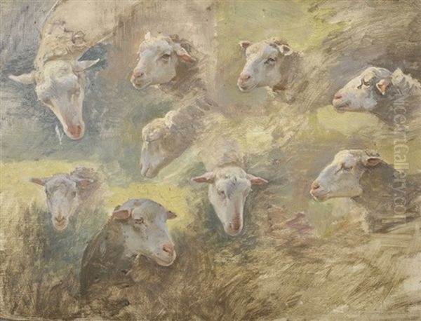 Etude De Moutons Oil Painting by Luigi Chialiva