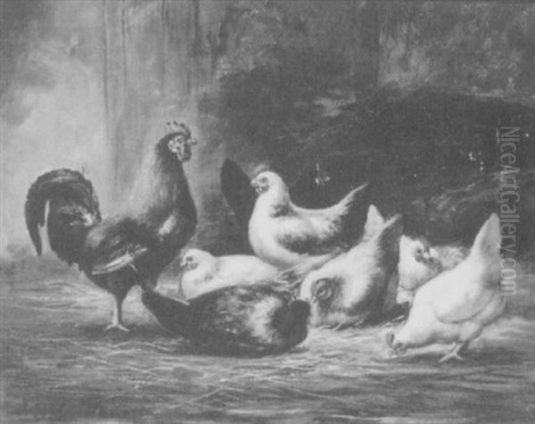 Chickens In The Barnyard Oil Painting by Gaetano Chierici