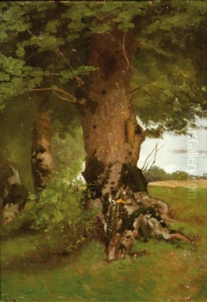 Troncs D'arbres (study) Oil Painting by Antoine Chintreuil