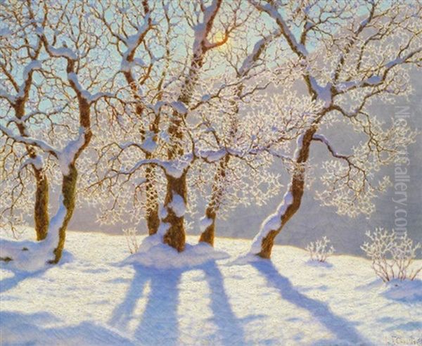 Winterlandschaft Im Sonnenschein Oil Painting by Ivan Fedorovich Choultse