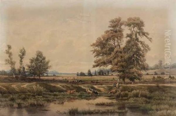 Vaches S'abreuvant En Bord De Riviere Oil Painting by Jean Henri Chouppe