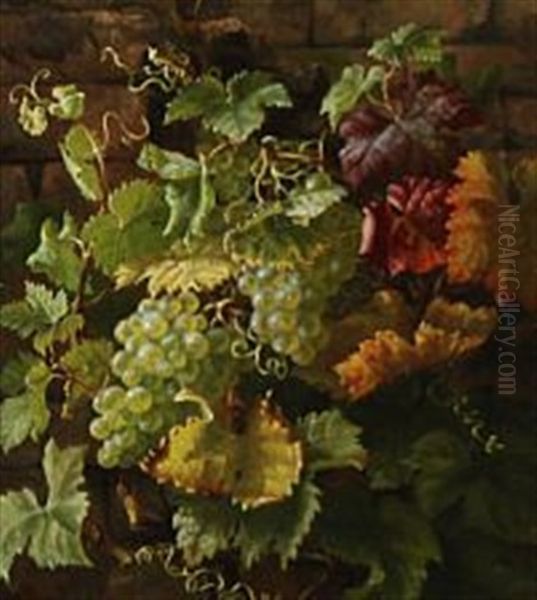 Grapes And Vines On A Wall Oil Painting by Anthonie Eleonore (Anthonore) Christensen