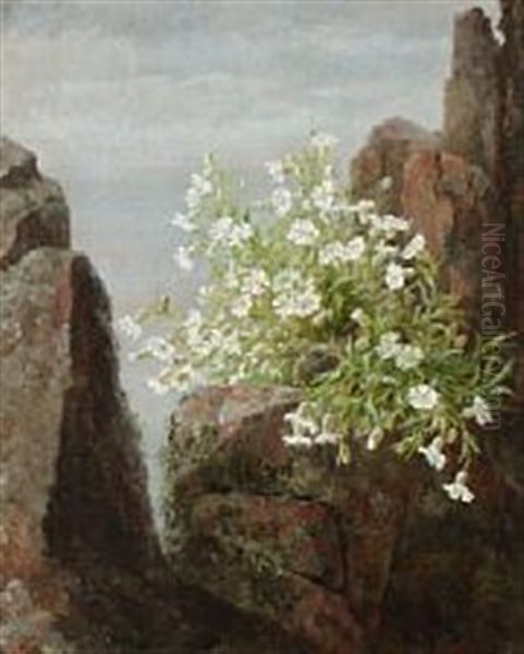 Wild Flowers At Kullen Oil Painting by Anthonie Eleonore (Anthonore) Christensen