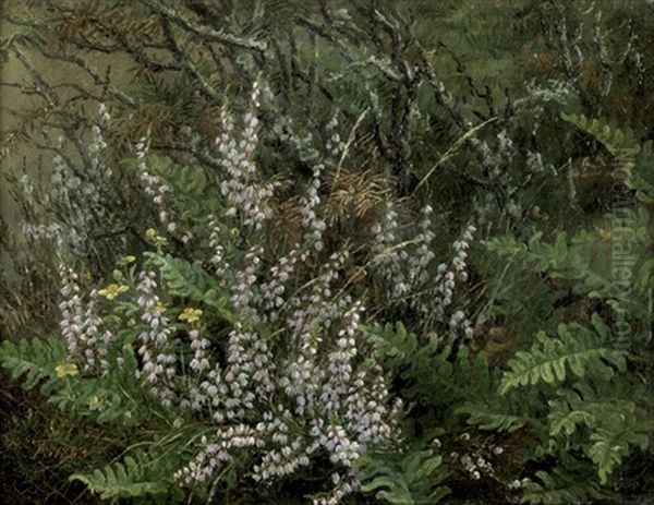 Kleines Wiesenstuck Mit Bluhender Heide Und Farnen by Anthonie Eleonore (Anthonore) Christensen