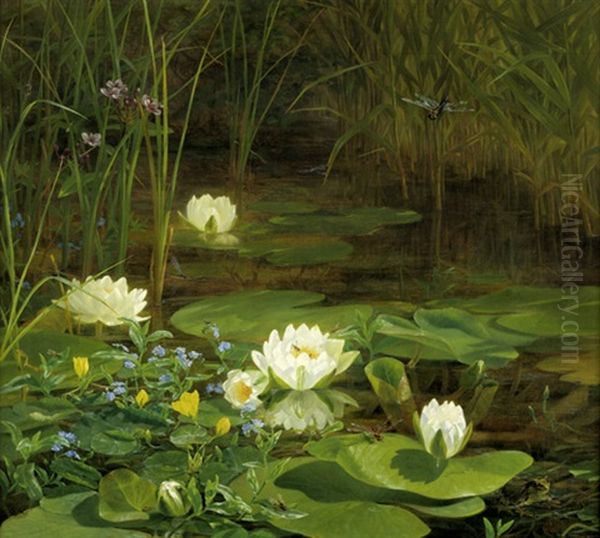 Waldteich Mit Seerosen, Frosch Und Libelle Oil Painting by Anthonie Eleonore (Anthonore) Christensen