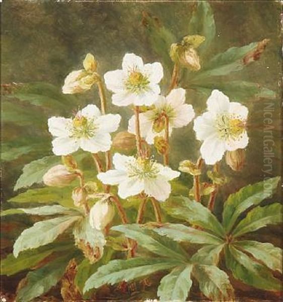 Christmas Roses Oil Painting by Anthonie Eleonore (Anthonore) Christensen