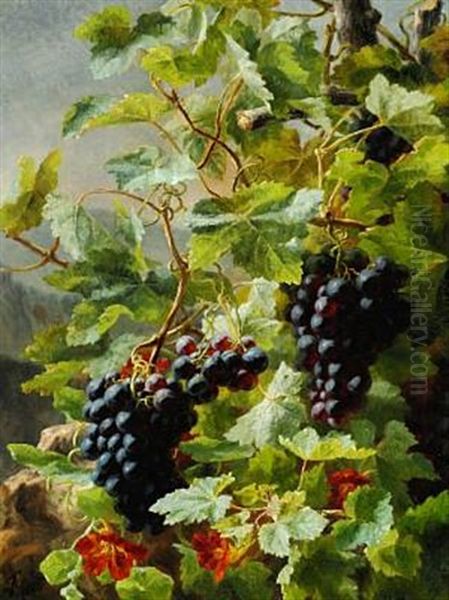 Druer (bunches Of Growing Blue Grapes And Orange-coloured Garden Nasturtium) Oil Painting by Anthonie Eleonore (Anthonore) Christensen