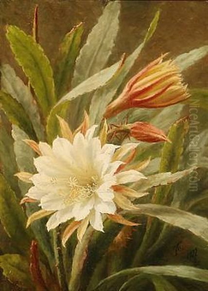 A White Cactus Flower Oil Painting by Anthonie Eleonore (Anthonore) Christensen