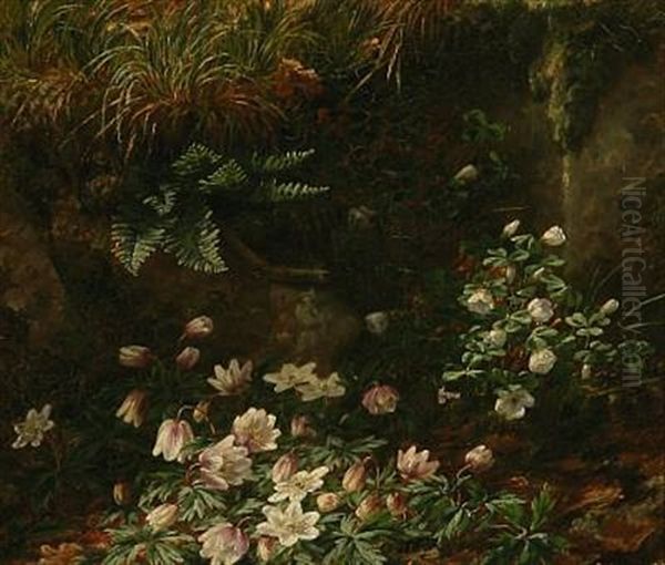 Forest Floor With Anemones Oil Painting by Anthonie Eleonore (Anthonore) Christensen