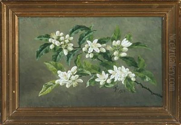 Branch In Bloom Oil Painting by Anthonie Eleonore (Anthonore) Christensen