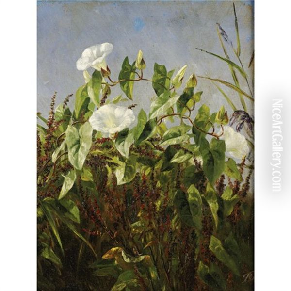 Morning Glories Oil Painting by Anthonie Eleonore (Anthonore) Christensen