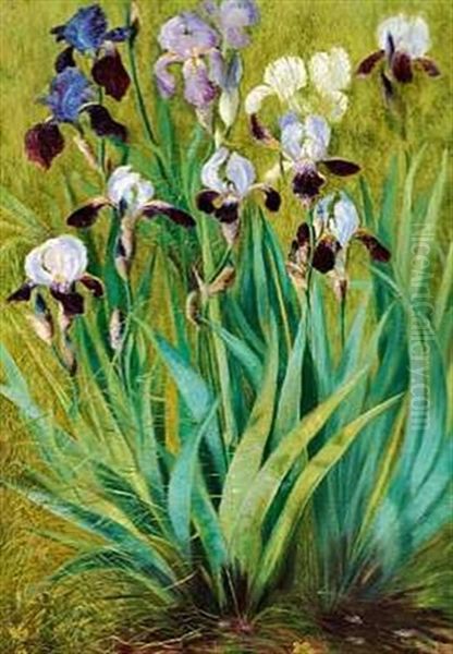 Vildtvoksende Iris Oil Painting by Anthonie Eleonore (Anthonore) Christensen