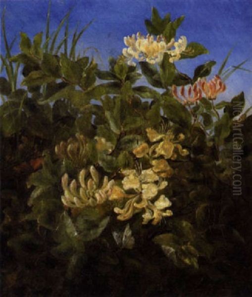 Blomstrende Kaprifolier Med Sommerfugl Oil Painting by Anthonie Eleonore (Anthonore) Christensen