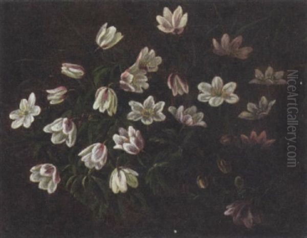 Opstilling Med Hvide Anemoner Oil Painting by Anthonie Eleonore (Anthonore) Christensen