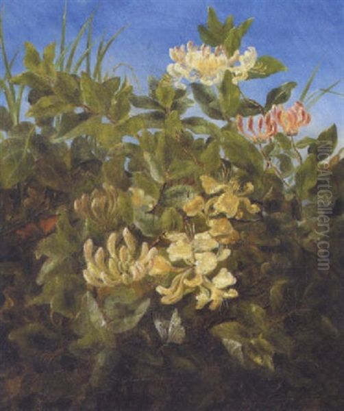 Blomstrende Kaprifolier Med Sommerfugl Oil Painting by Anthonie Eleonore (Anthonore) Christensen