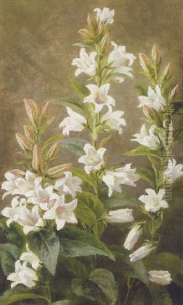 Blomstrende Hvide Liljer Oil Painting by Anthonie Eleonore (Anthonore) Christensen