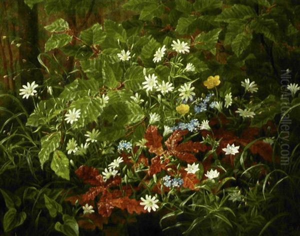 Skovbund Med Nyudsprungne Smorblomster, Skovfladstjerner Og Forglemmigej Oil Painting by Anthonie Eleonore (Anthonore) Christensen