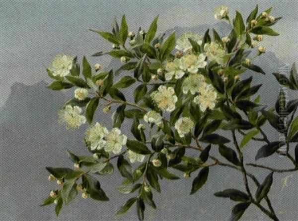 Blomstrende Frugtgren, I Baggrunden Blanende Bjerge Oil Painting by Anthonie Eleonore (Anthonore) Christensen