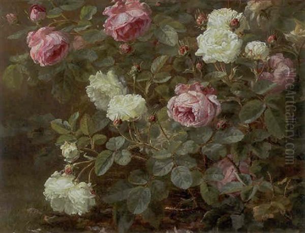 Lyserode Og Hvide Blomstrende Roser Oil Painting by Anthonie Eleonore (Anthonore) Christensen