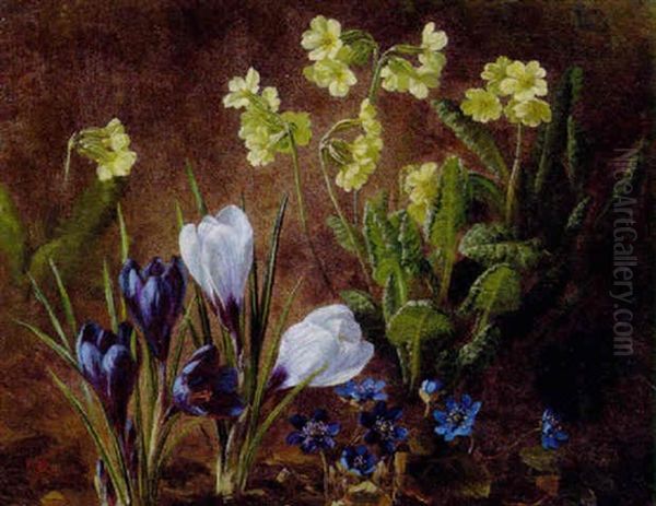 Voksende Krokus, Bla Anemoner Og Kodrivere Oil Painting by Anthonie Eleonore (Anthonore) Christensen