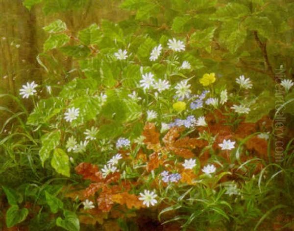 Skovbund Med Vilde Blomster Oil Painting by Anthonie Eleonore (Anthonore) Christensen