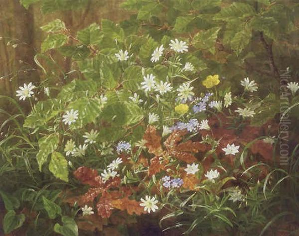 Skovbund Med Vilde Blomster Oil Painting by Anthonie Eleonore (Anthonore) Christensen