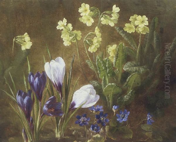 Motiv Med Blomstrende Krokus, Anemoner Og Aurikler Oil Painting by Anthonie Eleonore (Anthonore) Christensen