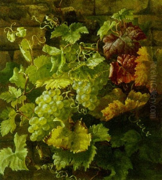 Vindruer Og Vinlov Ved En Mur Oil Painting by Anthonie Eleonore (Anthonore) Christensen