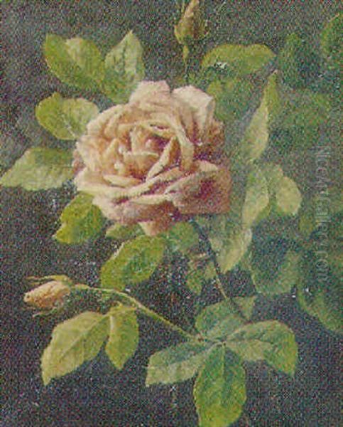 Lyserod Rose Oil Painting by Anthonie Eleonore (Anthonore) Christensen