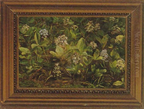 Blomstrende Vandplanter Oil Painting by Anthonie Eleonore (Anthonore) Christensen