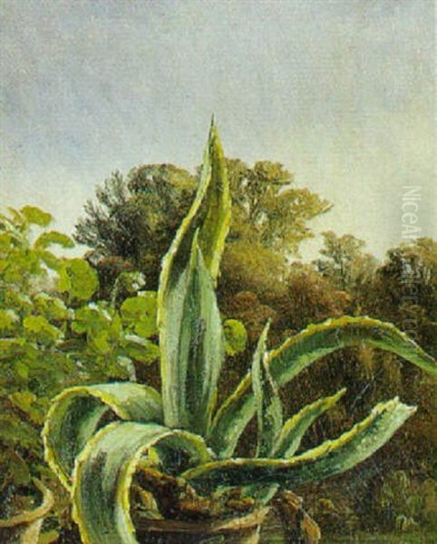 Agave Oil Painting by Anthonie Eleonore (Anthonore) Christensen