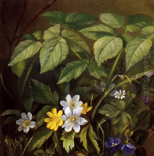 Skovbund Med Forarsblomster Oil Painting by Anthonie Eleonore (Anthonore) Christensen