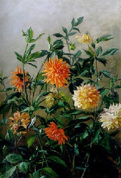 Prachtvolle Dahlienbluten Vor Grauem Hintergrund Oil Painting by Anthonie Eleonore (Anthonore) Christensen