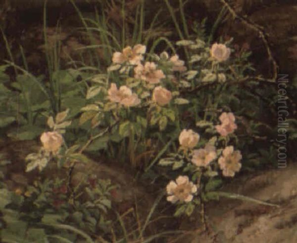 Teroser Og Vilde Blomster Imellem Sten Oil Painting by Anthonie Eleonore (Anthonore) Christensen