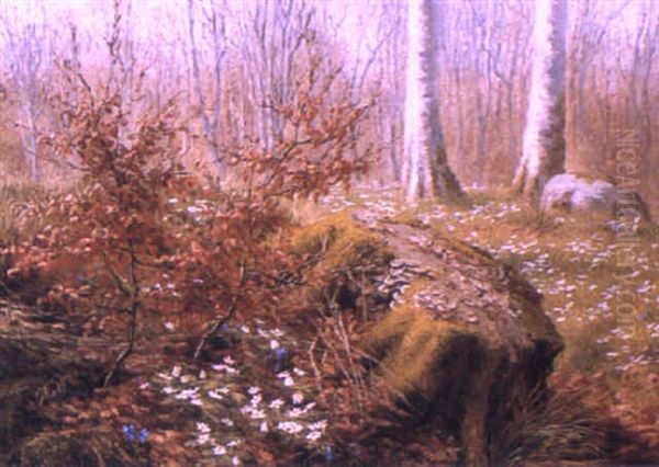 Forest Clearing With Flowers Oil Painting by Anthonie Eleonore (Anthonore) Christensen