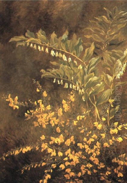 Salomonskonvaller Og Blomstrende Gyvel Oil Painting by Anthonie Eleonore (Anthonore) Christensen