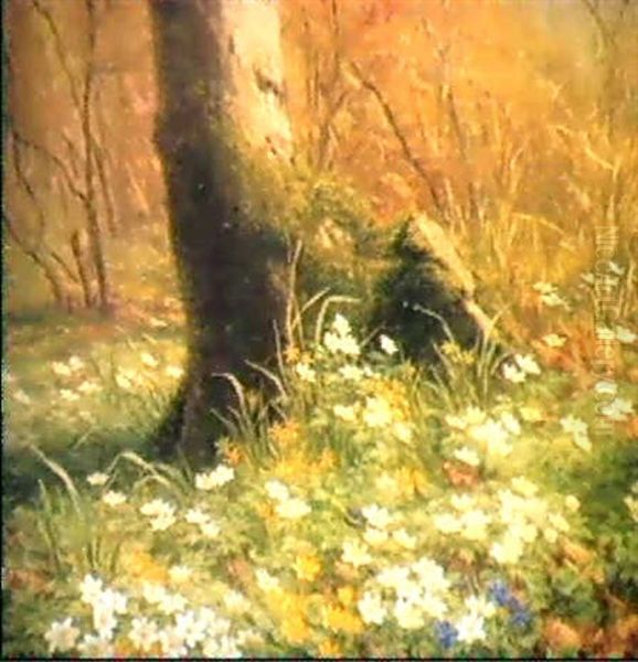 Wild Anemones On The Forest Floor Oil Painting by Anthonie Eleonore (Anthonore) Christensen