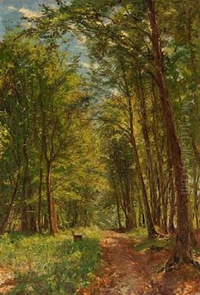 Forest Scape From Hornbaek Plantage Oil Painting by Godfred Christensen