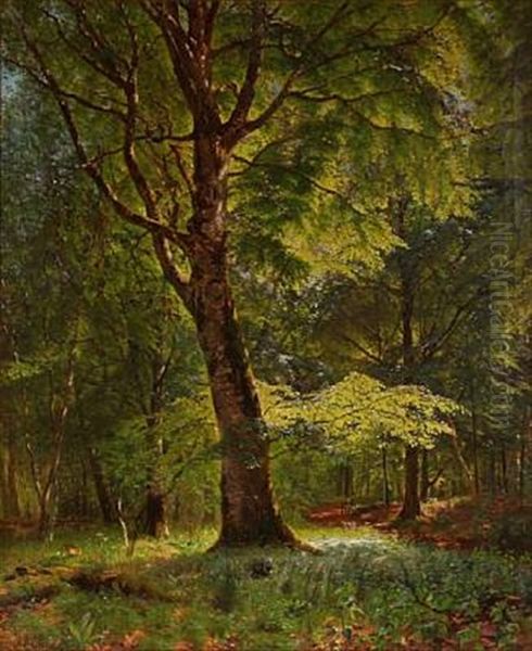 Summer Day In The Woods by Godfred Christensen