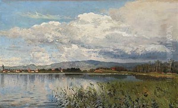 Summer Day Near Jonkoping, Sweden Oil Painting by Godfred Christensen