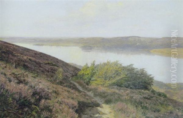 Lyngbakker Ved Silkeborgsoerne Oil Painting by Godfred Christensen