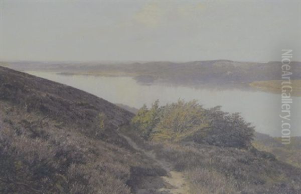 Lyngbakker Ved Silkeborgsoerne Oil Painting by Godfred Christensen