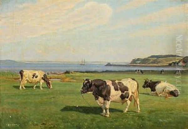 Summerlandscape With Bull And Cows In The Field At The Inlet Of Hjarbaek Oil Painting by Rasmus Christiansen