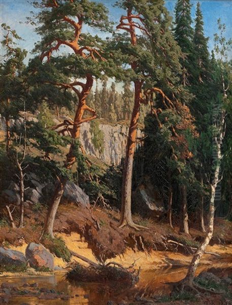 In The Forest Oil Painting by Fanny Maria Churberg